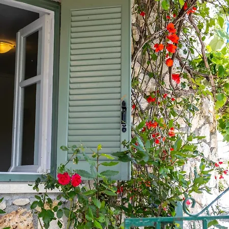 Kerkis Traditional Drymon